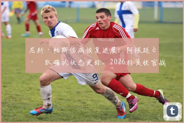 尼科·帕斯伤病恢复进展：阿根廷跟队确认状态良好，2026科莫收官战确定复出，附球队阵容分析